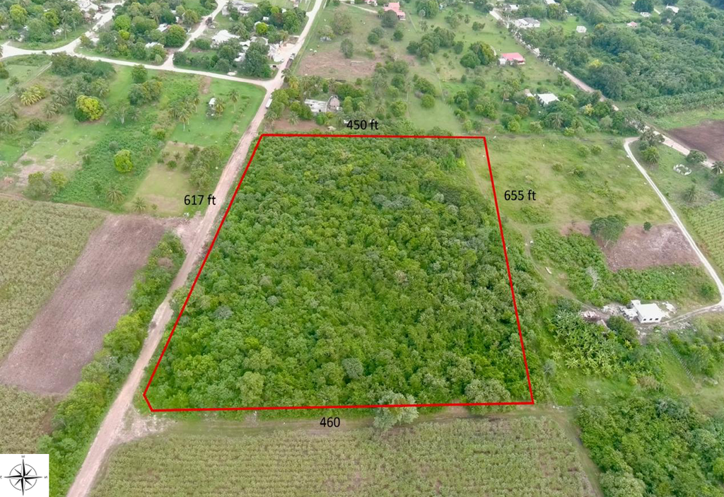 3.77 acres of land being in Ramonal Zapote North   Registration Section,  Corozal District