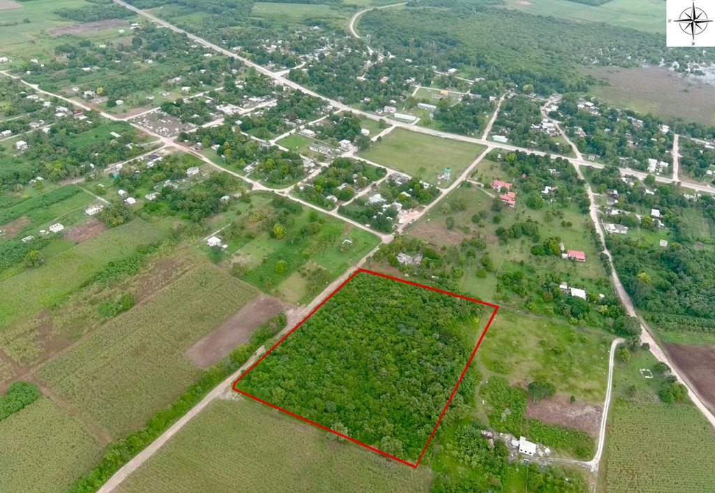 3.77 acres of land being in Ramonal Zapote North   Registration Section,  Corozal District