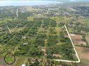 464.425 square meters of land situated in the Corozal North  Registration Section, Corozal District